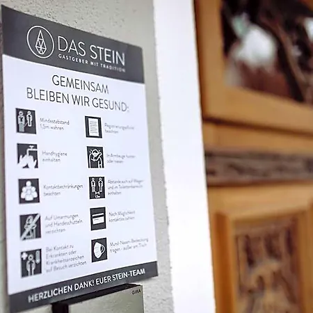 Stein