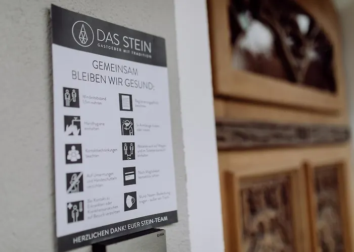 Stein